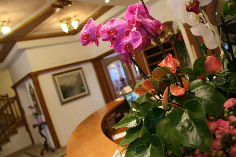 Ariston Lake View Hotel Molveno Extérieur photo